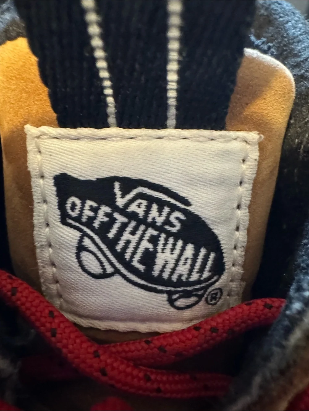 Vans SK8 Hi MTE Waterproof Hiking or All-Terrain Boot. Style# 507698